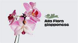 Alla Flora Giapponese