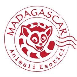 Madagascar animali esotici Roma