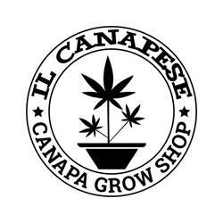 Il CANAPESE - Canapa - CBD - Grow Shop IVREA