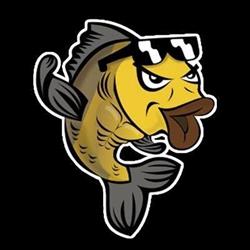 Carpstore.it