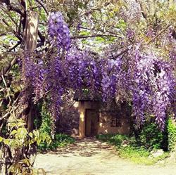 Locanda dei Melograni - Lungacque