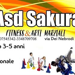 Asd Sakura Palestra- judo- cross training- Fitness