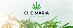 Che Maria Cannabis Legale