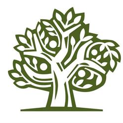 L' Arborista - all'altezza del vostro verde