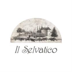 Villa Il Selvatico