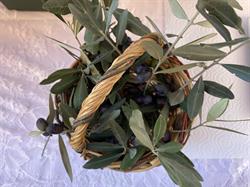 Azienda Agricola Remina