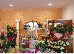 Floricoltura Barro