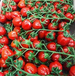 Hamada frutta e verdura Brescia