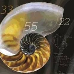 ASSOCIAZIONE CULTURALE ACCADEMIA OLISTICA EVOLUZIONE