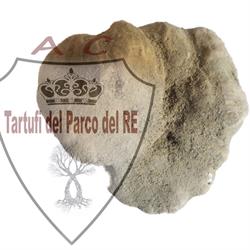 TARTUFI DEL PARCO DEL RE