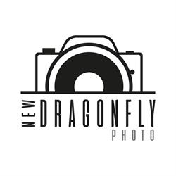 New Dragonfly Photo