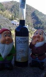 Liquorificio Tentazioni