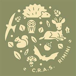 cras rimini