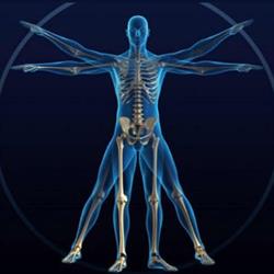 Postural group Srls