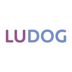 Ludog Collegno - Ludoteca Formativa per Cani