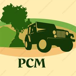 PCM Palmi
