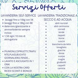 Magic Laundry Palumbo