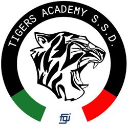 Tigers Academy SSD