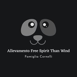 Allevamento Fox-Terrier a pelo liscio Famiglia Cornelli