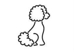 Le Petit Meursault Dog Boutique
