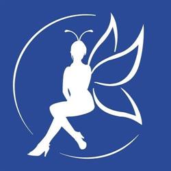 Blue Butterfly Shoes