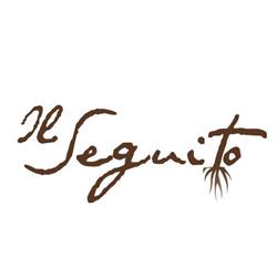 IL SEGUITO