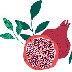 Frutteria Il Melograno
