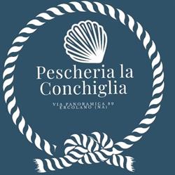 Pescheria La Conchiglia