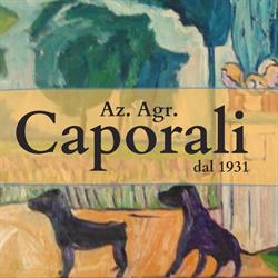 Azienda Agricola Caporali
