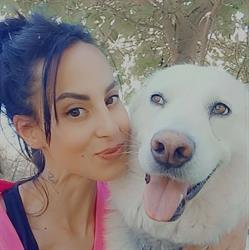Love Dog