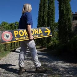 FATTORIA POMONA - Azienda vinicola biologica vendita e degustazioni Chianti Classico