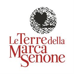 Le Terre della Marca Senone