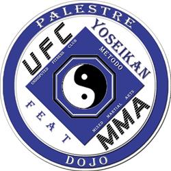 Palestre UFC di Bertola Davide