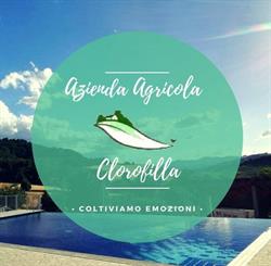 Clorofilla