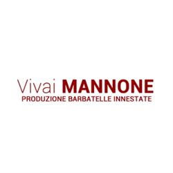 Vivai Mannone Srl