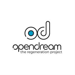 OpenDream