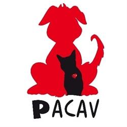 Pacav