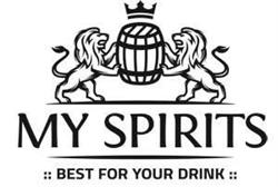 My Spirits Srl