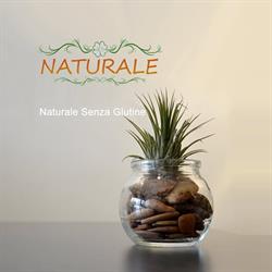 Naturale Senza Glutine