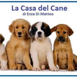 La casa del cane