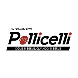 Autotrasporti Pollicelli