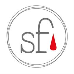 Salotto Fotografico Foligno