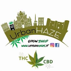 Urban Haze
