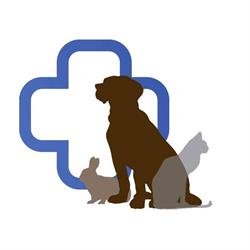 Clinica Veterinaria LISaVet