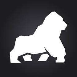 Silverback - Web Marketing Strategico