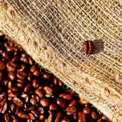 Caffitaly Shop
