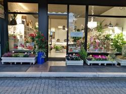 Fiorista Varese Green Street