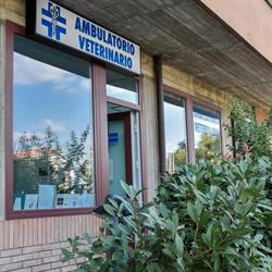 AMBULATORIO VETERINARIO BELLETTATI
