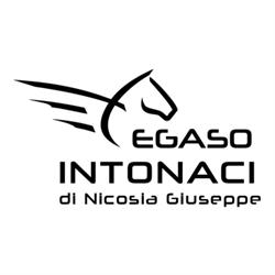 Pegaso Intonaci