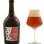 Amber Honey Ale